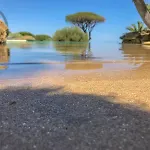 La California سانت ماكسيم